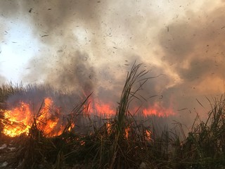 Burning the fields of global warming and pollution.