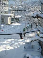 雪の降った次の日の朝
