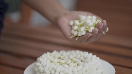 Slow motion,The young woman's hand is picking the white gardenia flower for the garland.