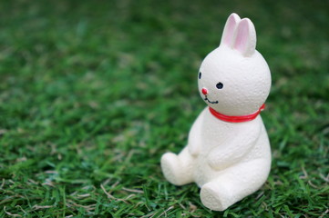 white Rabbit On the lawn