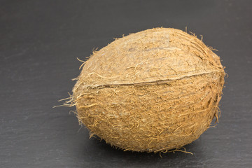 single fresh unopened brown coconut