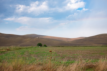 Obraz premium Wonderful view of Basilicata countryside on a sunny day. Irsina, Italy