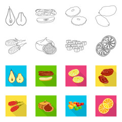 Vector illustration of food and raw sign. Collection of food and nature stock symbol for web.