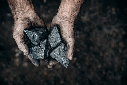 Coal In Miner Holds. Concept Industry Mining