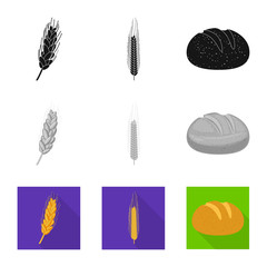 Isolated object of agriculture and farming symbol. Set of agriculture and plant stock vector illustration.