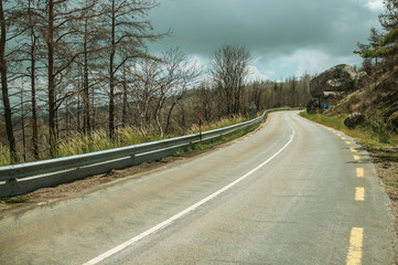 Road passing through burnt forest on rocky landscape