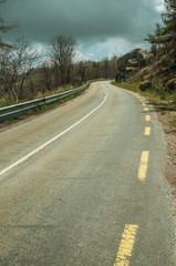 Road passing through burnt forest on rocky landscape