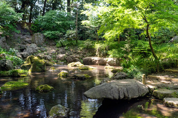 Fototapeta premium 日本庭園