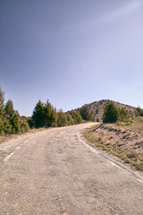 Fototapeta na wymiar narrow asphalt mountain road