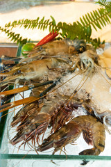 Buffet seafood set up, raw food.