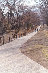 Fototapeta na wymiar Japan Ueda Castle park Cherry Blossoms spring