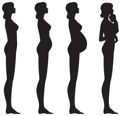 Vector illustration of pregnant female silhouettes and baby. Woman's body and its changes during pregnancy