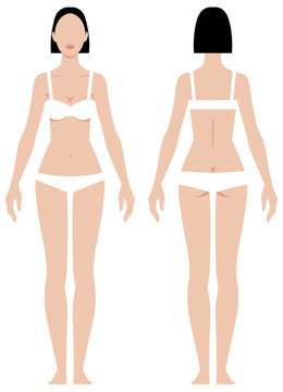 Female body in full length measurement parameters for clothes vector illustration