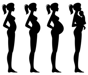 Vector illustration of pregnant female silhouettes and baby. Woman's body and its changes during pregnancy