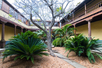 beautiful garden inside colonial houses in tenerife