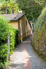 Path between houses in Portofino