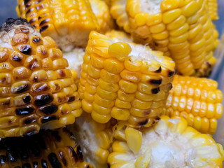 Roasted corncobs