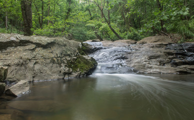 Quadruple  Waterfall in the woods at Croydon Creek
