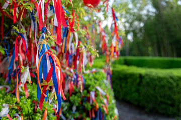Close-up shallow depth of field shot of brightly-coloured ribbons attached to a wish tree to signify a hoped-for event