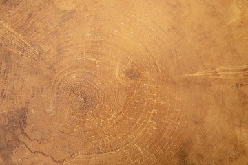 Tree cut. Wooden texture of the cut-off tree. Wooden background, Abstract background. The internal rings structure of the tree.