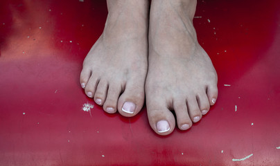 a beautiful female feet and pedicure on a red background
