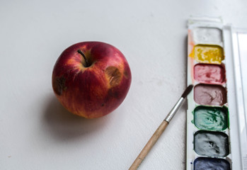a red apple and watercolor paint and brush on white background
