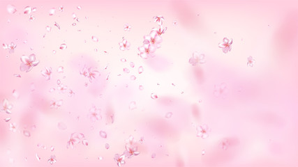 Nice Sakura Blossom Isolated Vector. Realistic Flying 3d Petals Wedding Frame. Japanese Blurred Flowers Wallpaper. Valentine, Mother's Day Summer Nice Sakura Blossom Isolated on Rose