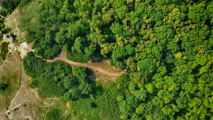 Aerial view on  colorful green forest with glade and footpaths near Samara city, Russia