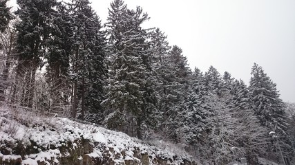 Winterroute durch Harz