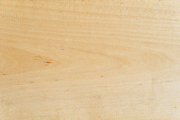 The texture is natural wood. Solid wood texture, birch. Spruce tree background close up.