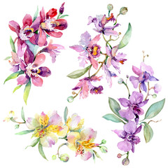 Orchid bouquets floral botanical flowers. Watercolor background illustration set. Isolated bouquet illustration element.
