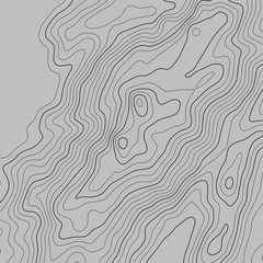 Topographic map lines background. Abstract vector illustration. Contour vector map.