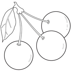 Outlines of three cherries