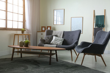 Contemporary living room interior with cozy sofa