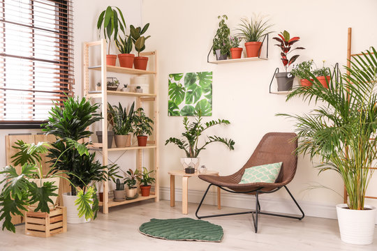 Stylish Living Room Interior With Home Plants And Lounge Chair