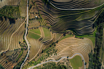 Aerial view of the terraced vineyards in the Douro Valley near the village of Pinhao, Portugal;...