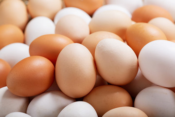 fresh eggs as background