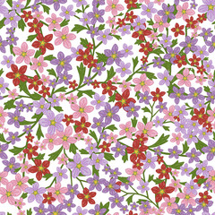 Vector seamless retro pattern, flowers saxifrage. Fills, wallpaper, surface textures.