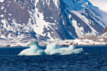 Iceberg, Svalbard