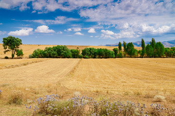 Obraz premium Türkei, Ägäis, Landschaft