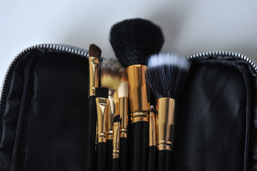 A set of brushes for makeup. Professional makeup tools, brushes for various functions in a black...