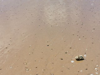 summer sun beach france atlantic bretagne
