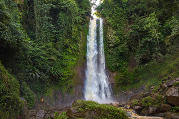 Fototapeta na wymiar Nung-Nung Bali waterfall in rainforest.