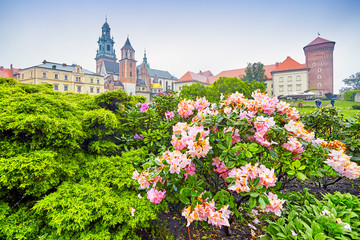 Wawel cathedral in Krakow