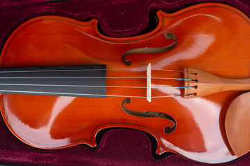 Fototapeta premium Part of an orange violin in a burgundy velvet case.