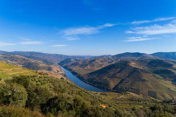 Fototapeta na wymiar Scenic aerial view of the Douro Valley and river with terraced vineyards near the village of Tua, Portugal