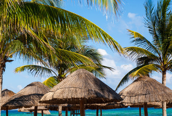 Fototapeta na wymiar Grass parasols on a caribbean beach surrounded by palm trees.