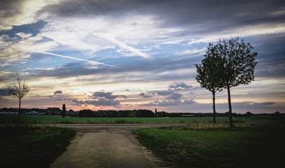 Obraz premium Summer landscape with green grass, road and clouds.