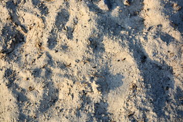 sand texture