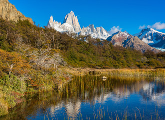 Fototapeta na wymiar Fitz Roy reflection in a lagoon in Patagonia Argentina